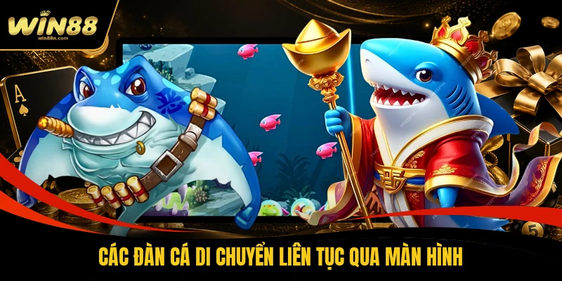 Các đàn cá di chuyển liên tục qua màn hình