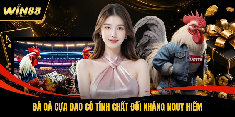 Đá gà cựa dao có tính chất đối kháng nguy hiểm