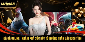 Đá Gà Online - Khám Phá Sức Hút Từ Những Trận Đấu Kịch Tính