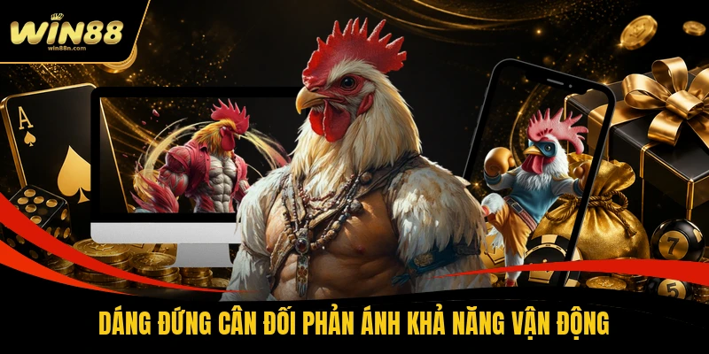 Gà khỏe mạnh thường ăn uống và vận động đều