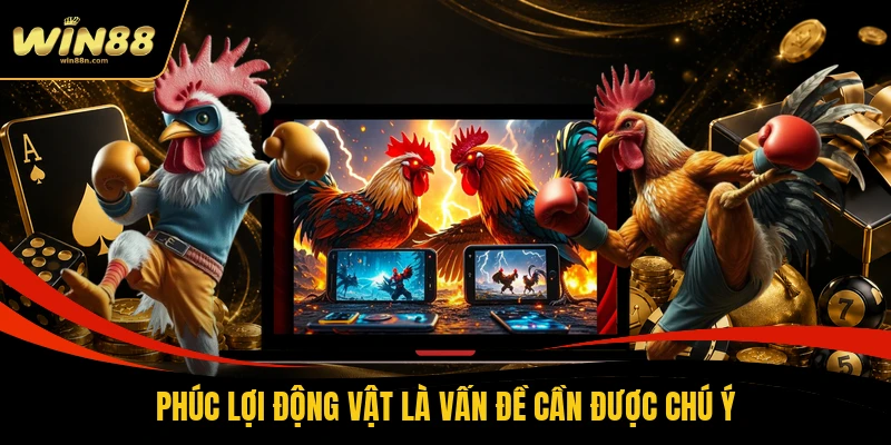 Phúc lợi động vật là vấn đề cần được chú ý